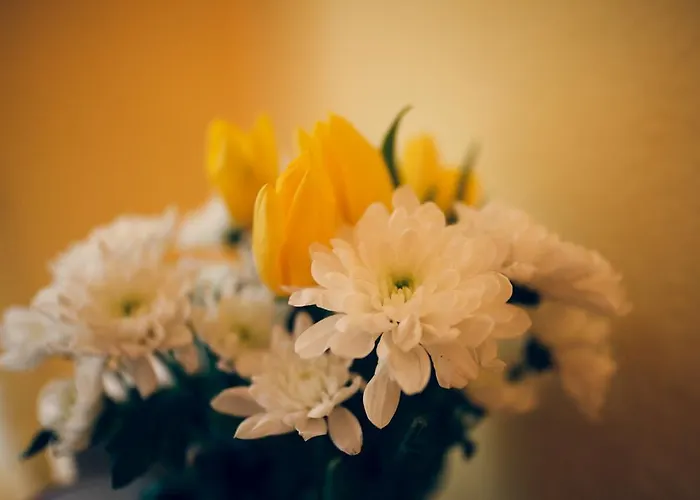 Aleda アパート *